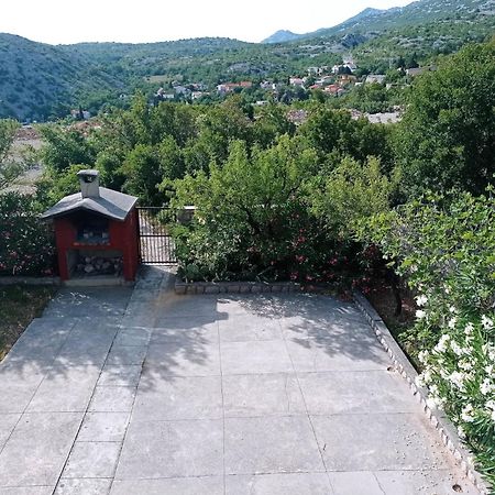 Villa Alexa Cesarica Luaran gambar