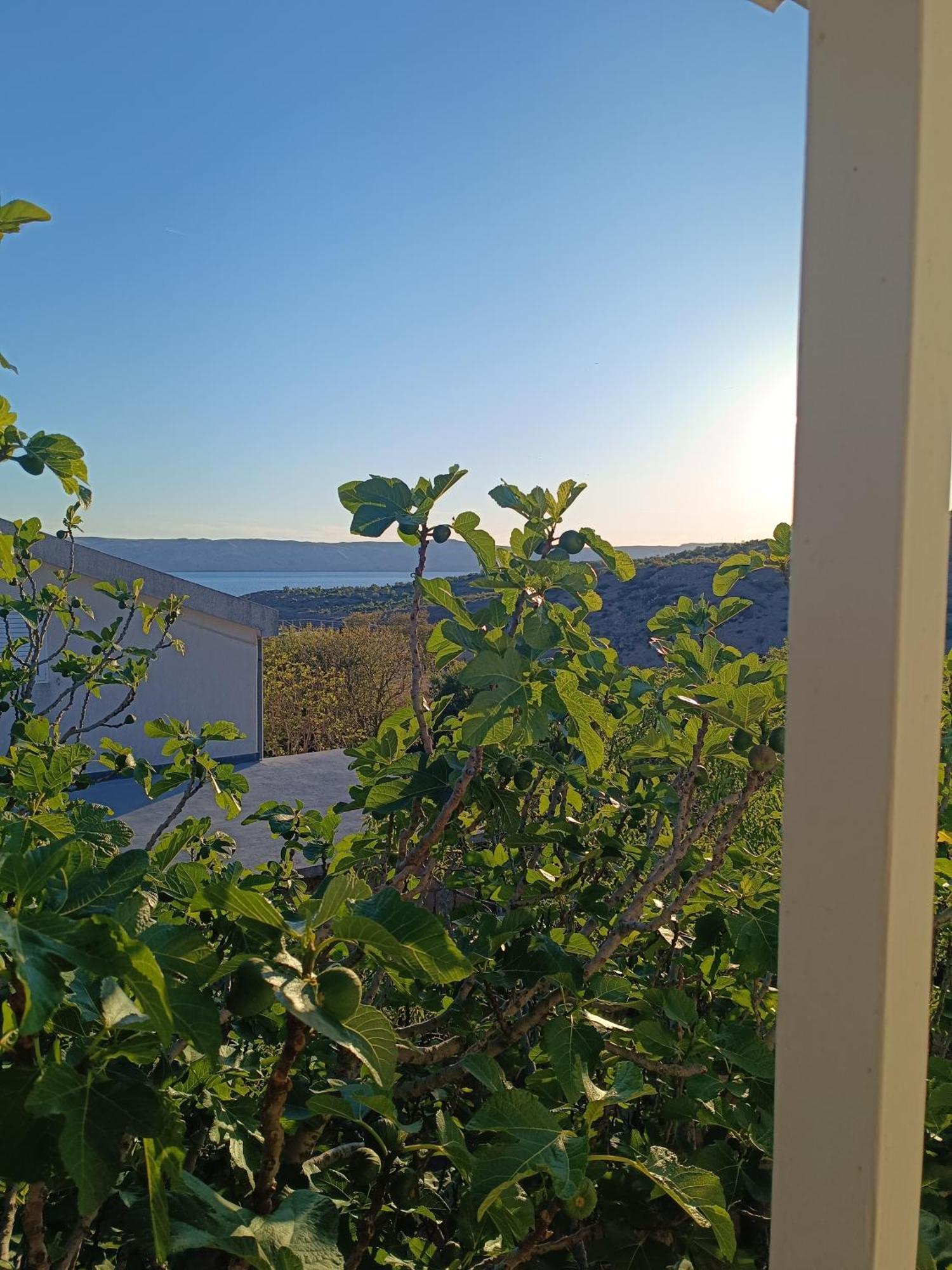 Villa Alexa Cesarica Luaran gambar